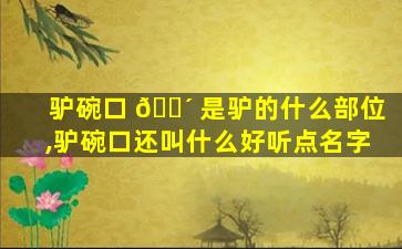 驴碗口 🐴 是驴的什么部位,驴碗口还叫什么好听点名字